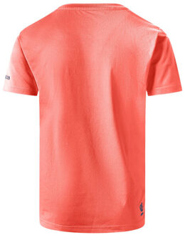 Dare 2b Kinderen/kinderen amuse ii mountain t-shirt - maat 146/152 Oranje