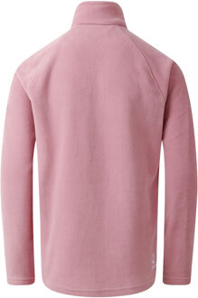 Dare 2b Kinderen/Kinderen Vlies uit de vrije hand (Lila's) - 3-4J / 98-104cm