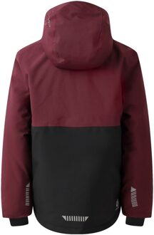 Dare 2b Kinderen Send It! Skijas (Fig) Rood - 11-12J / 146-152cm