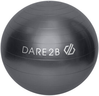 Dare 2b Oefenbal Grijs - One size