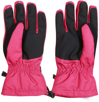 Dare 2b Regatta dames acute skihandschoenen Roze - XS