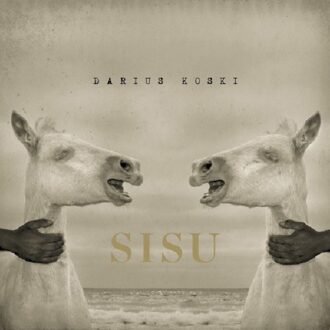 Darius Koski - Sisu