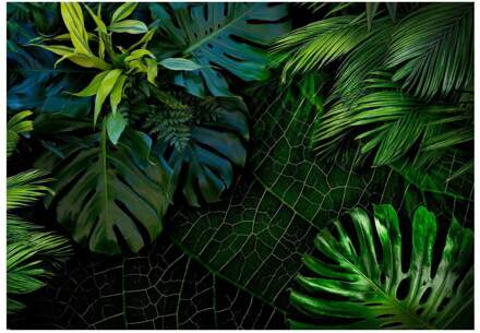 Dark Jungle Vlies Fotobehang 100x70cm