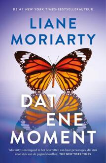 Dat ene moment -  Liane Moriarty (ISBN: 9789044937466)