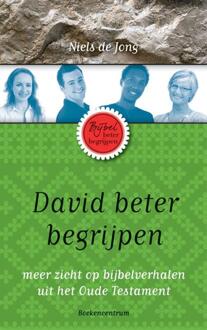 David beter begrijpen - Boek Niels de Jong (902392651X)
