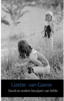 David en andere bewijzen van liefde