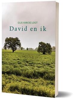David en ik -  Gijs van de Logt (ISBN: 9789493345195)