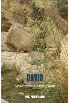 David - (ISBN:9789403601533)