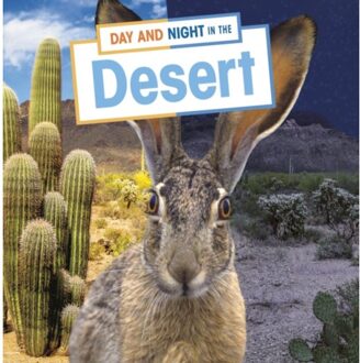 Day And Night In The Desert - Habitat Days And Nights - Ellen Labrecque