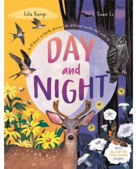 Day And Night - Lela Nargi