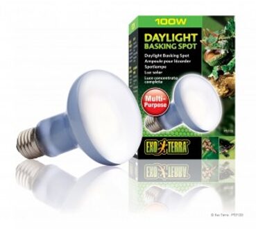 Daylight Basking Spot lamp - Terrarium Verlichting - 100W