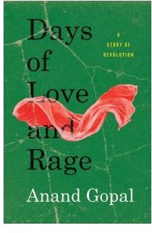 Days Of Love And Rage - Anand Gopal
