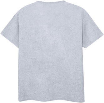 DC Comics Heren Batman Robin Slap T-Shirt (Sportgrijs) - maat 5XL Lichtgrijs