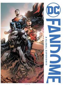 DC Fandome Batman, Wonderwoman, Superman Women's T-Shirt - White - S Wit