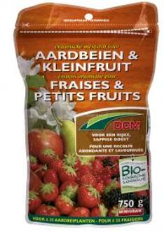 DCM Aardbei Kleinfruit 0,2 kg