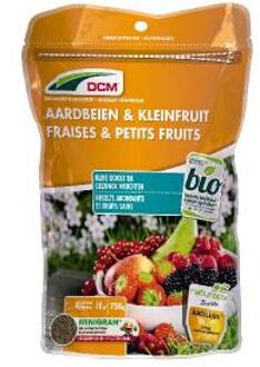 DCM Aardbei Kleinfruit 0,75 kg