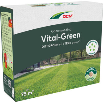 DCM Meststof vital green gazon 3 kg Groen