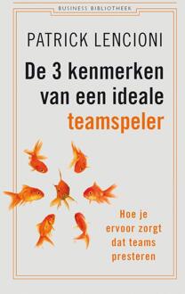 De 3 kenmerken van een ideale teamspeler - Boek Patrick Lencioni (9047009584)