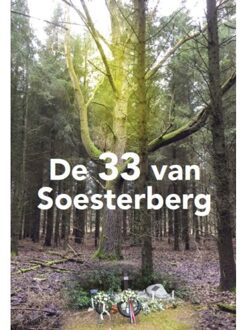 De 33 van soesterberg