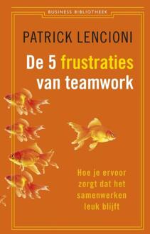 De 5 frustraties van teamwork - Boek Patrick Lencioni (9047001966)