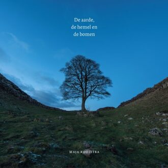 De Aarde, De Hemel En De Bomen