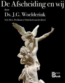 De afscheiding en wij - Boek J.G. Woelderink (9463380442)