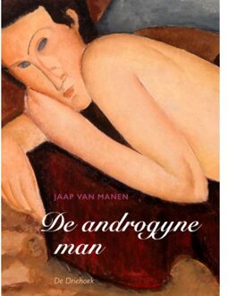 De Androgyne Man - Jaap van Manen