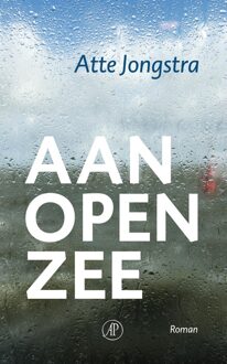 De Arbeiderspers Aan open zee - eBook Atte Jongstra (9029505680)