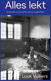 De Arbeiderspers Alles lekt - Luuk Vulkers - ebook