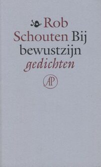 De Arbeiderspers Bij bewustzijn - eBook Rob Schouten (902958274X)