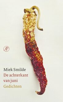 De Arbeiderspers De achterkant van juni - eBook Miek Smilde (902950594X)