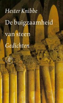 De Arbeiderspers De buigzaamheid van steen - eBook Hester Knibbe (9029582189)