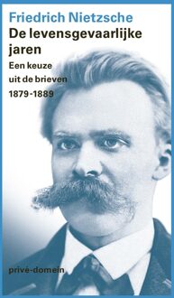 De Arbeiderspers De levensgevaarlijke jaren - Friedrich Nietzsche - ebook