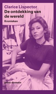 De Arbeiderspers De ontdekking van de wereld - eBook Clarice Lispector (9029505761)