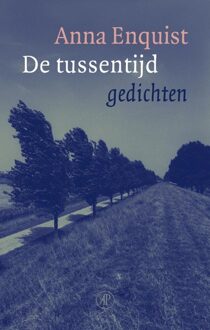 De Arbeiderspers De tussentijd - eBook Anna Enquist (9029581484)