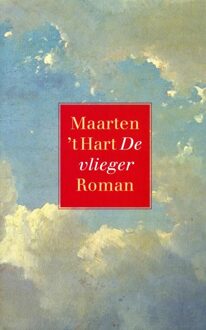 De Arbeiderspers De vlieger - eBook Maarten 't Hart (9029568437)