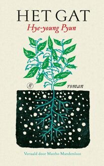 De Arbeiderspers Het gat - Pyun Hye-young - ebook