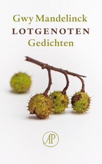 De Arbeiderspers Lotgenoten - eBook Gwy Mandelinck (9029593423)