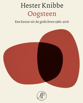 De Arbeiderspers Oogsteen - eBook Hester Knibbe (902951132X)