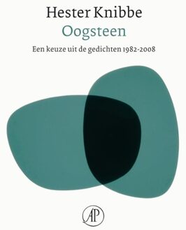 De Arbeiderspers Oogsteen - eBook Hester Knibbe (9029582200)