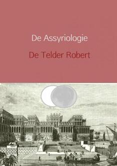 De Assyriologie herzien - Boek Telder De Robert (9402135723)
