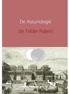 De Assyriologie herzien - Boek Telder De Robert (9402135723)
