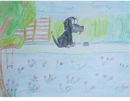 De avonturen van Blacky - Boek Nupur Geerds-Deen (9402133291)