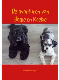 De Avonturen Van Bollie En Koekie