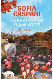 De baai van de flamingo's