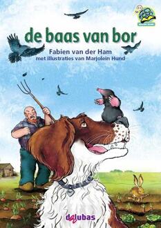 De baas van bor - Boek Fabien van der Ham (9053005951)