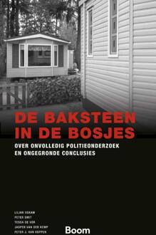 De baksteen in de bosjes -  Jasper van der Kemp (ISBN: 9789047302285)
