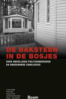 De baksteen in de bosjes -  Jasper van der Kemp (ISBN: 9789400114401)