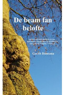 De beam fan belofte - Boek Gerrit Damsma (9402162585)