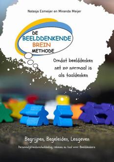 De Beelddenkende Breinmethode -  Miranda Meijer, Natasja Esmeijer (ISBN: 9789492595782)